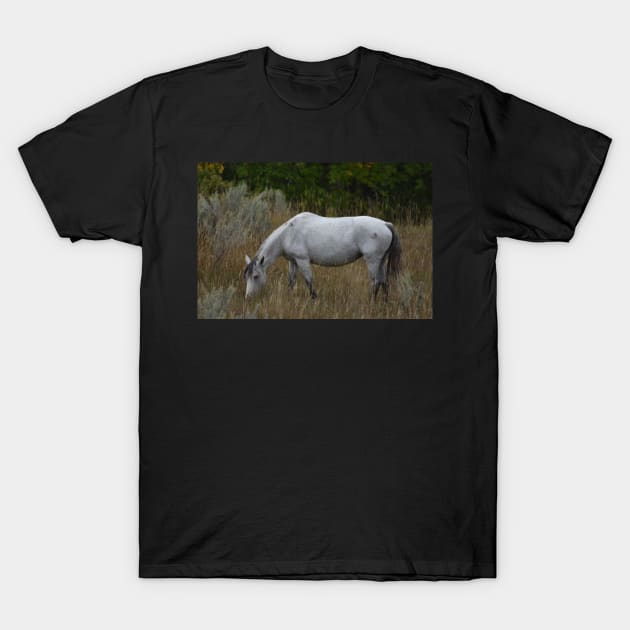 Grey Wild Horse T-Shirt by MarieDarcy